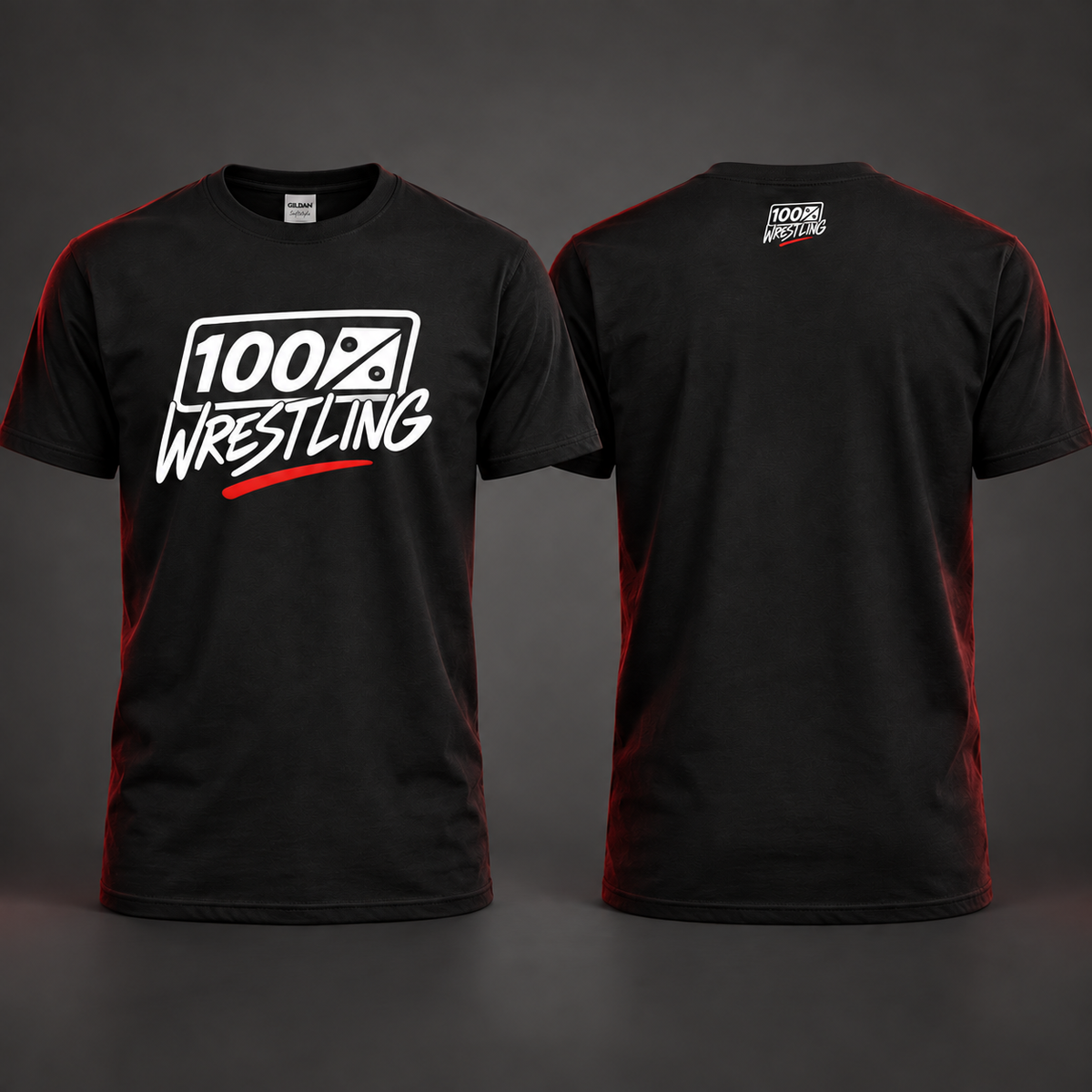 100% Wrestling Alternative Logo