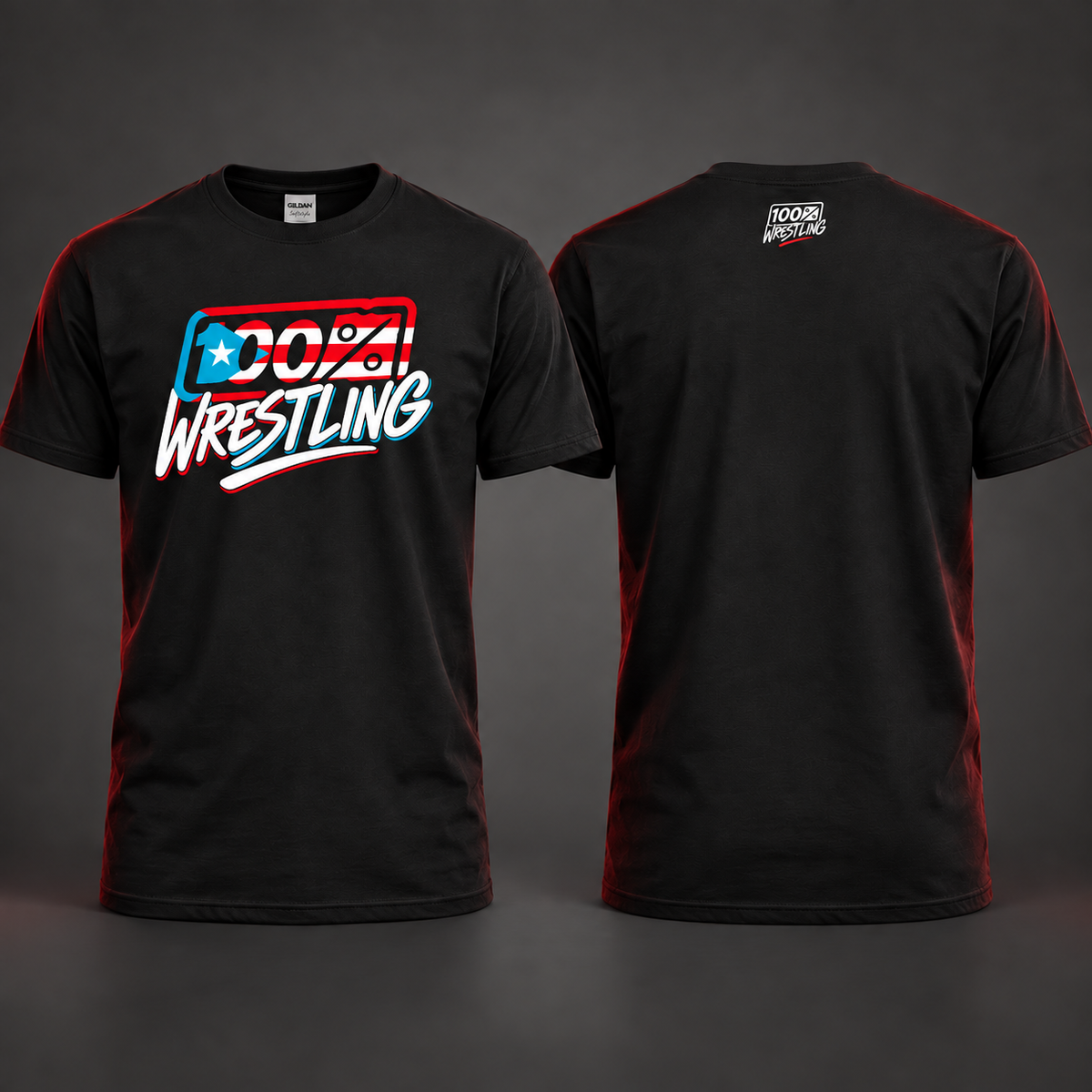 100% Wrestling PR Edition